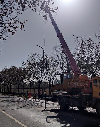 翰林路朱雀市场道路照明改造项目